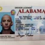 Buy Alaska Driver License and ID Card