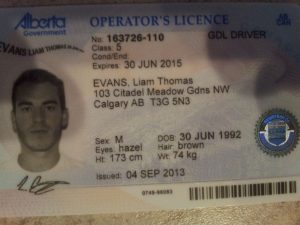 Buy Alberta Driving Licenses and ID Card