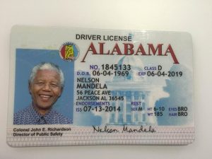 Buy Alabama Driver License and ID Card