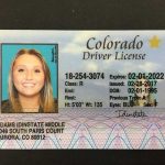 Buy Colorado Driver License and ID Card