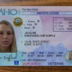 Buy Idaho Driver License and ID Card