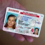 Buy Illinois Driver License and ID Card
