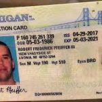 Buy Michigan Driver License and ID Cards