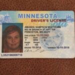 Buy Minnesota Driver License and ID Cards