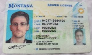 Buy Montana Driver License and ID Cards
