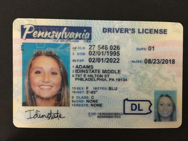 Buy Pennsylvania Driver License and ID Card