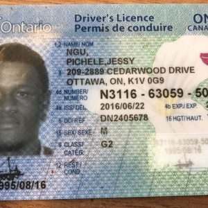 Buy Canada driver's licence