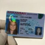 Buy Arkansas Driver License and ID Cards