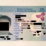 Buy Ontario Driver License and ID Cards