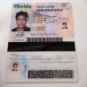 Florida driver's license and ID card