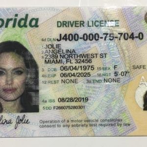 Buy USA Driver's License Online