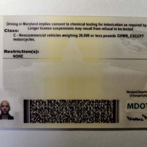 Maryland driver's license and ID card back