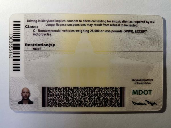 Maryland driver's license and ID card back