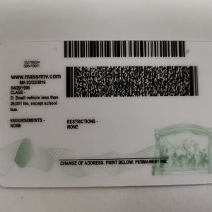 Buy Massachusetts driver's license and ID card back
