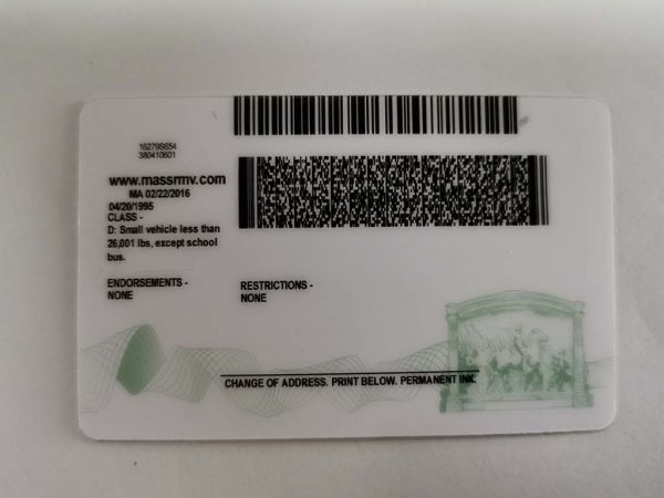 Buy Massachusetts driver's license and ID card back