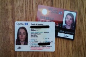 Buy Quebec Driver License and ID Card