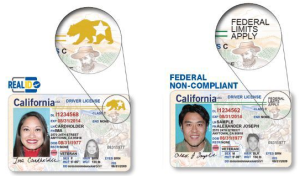 Buy Tennessee Driver License and ID Card