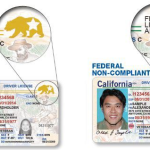 Buy Wisconsin Driver License and ID Card