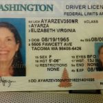 Buy Washington Driver License and ID Card