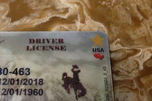 Buy Wyoming Driver License and ID Card