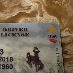 Wyoming driver's license and ID Card