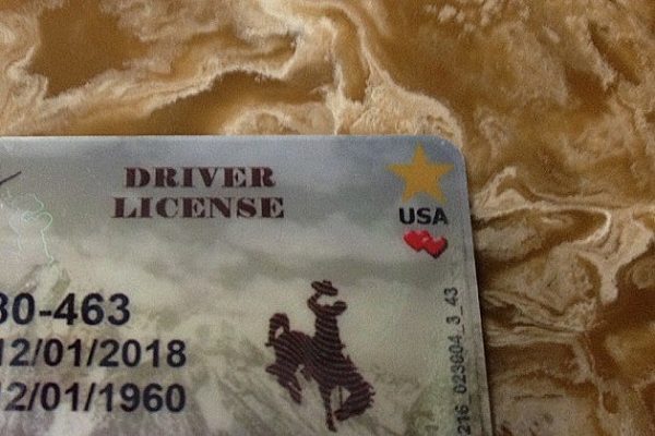 Wyoming driver's license and ID Card